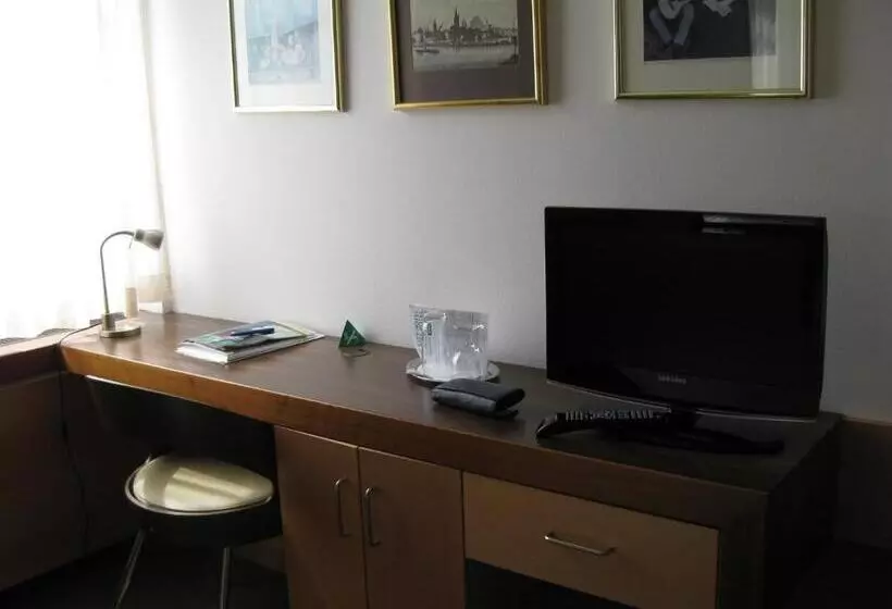 Standard Single Room, City