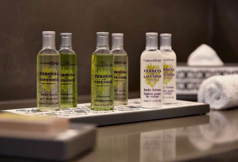 高级客房, Hilton Vienna Park