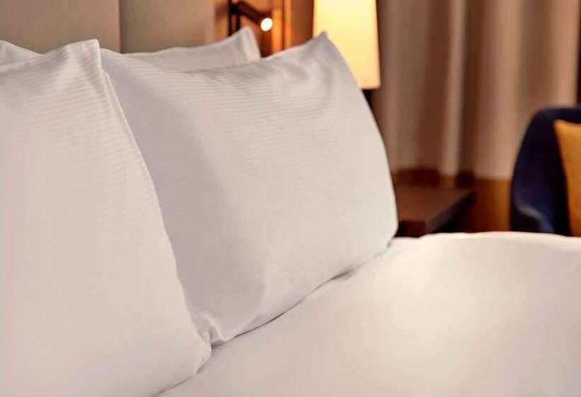 이그제큐티브 룸 킹사이즈 침대, Hilton Vienna Park