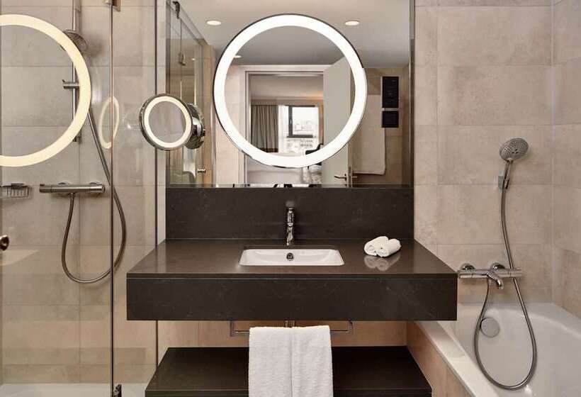 阁楼套房, Hilton Vienna Park