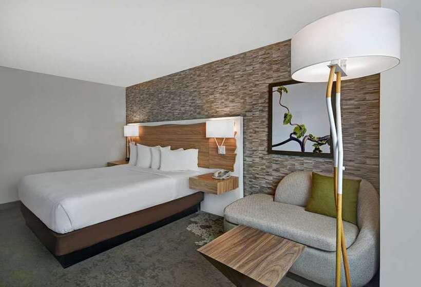 اتاق استاندارد با تخت بزرگ, Hilton Vienna Park