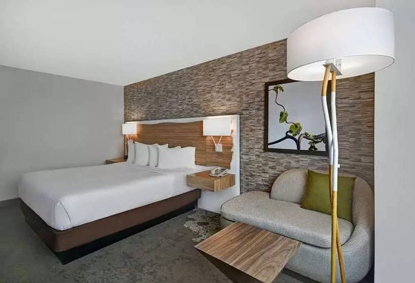 اتاق استاندارد با تخت بزرگ, Hilton Vienna Park