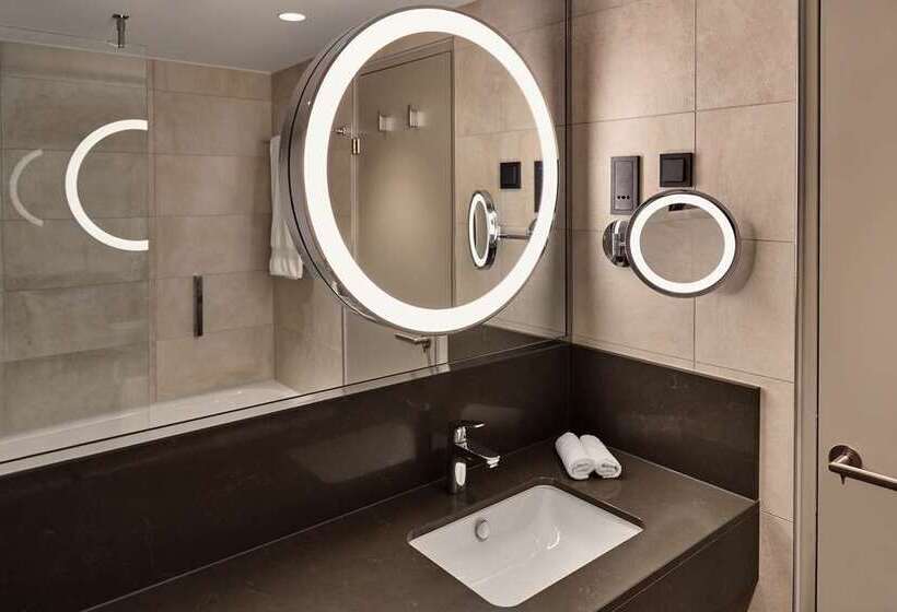 可看到停车场的标准间, Hilton Vienna Park