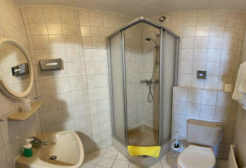 Номер Стандарт Вид на Сад, Waldhotel Seefeld