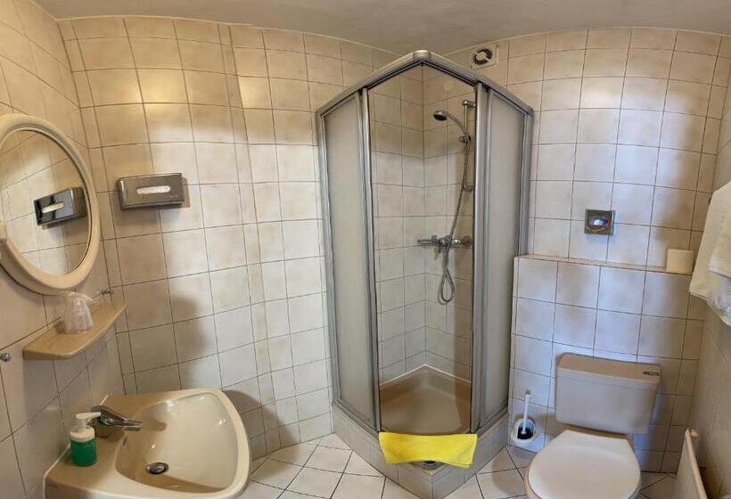 חדר אקונומי יחיד, Waldhotel Seefeld