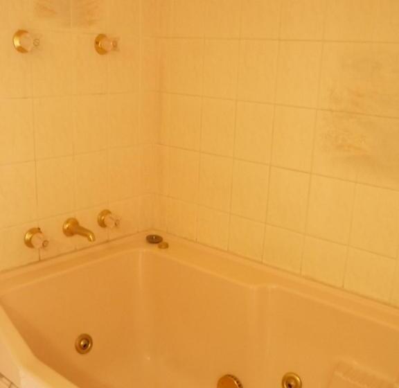 جناح مزود بجاكوزى, Elsinor Motor Lodge