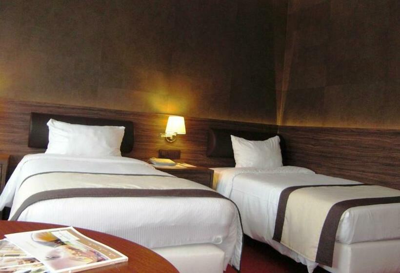 身障者適用スタンダードルーム, Golden Tulip Hotel De’ Medici