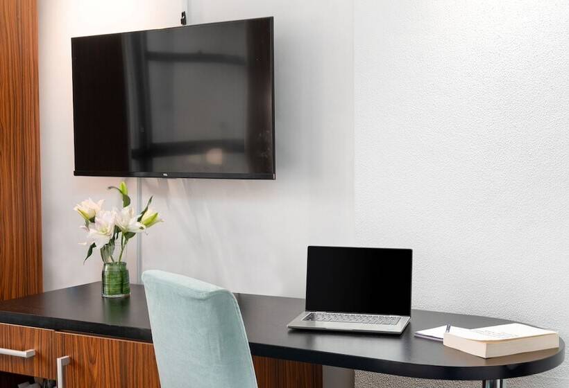 高级大房间, Park Regis City Centre