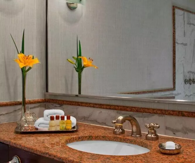 اتاق کلاسیک, Sheraton Buenos Aires Hotel & Convention Center