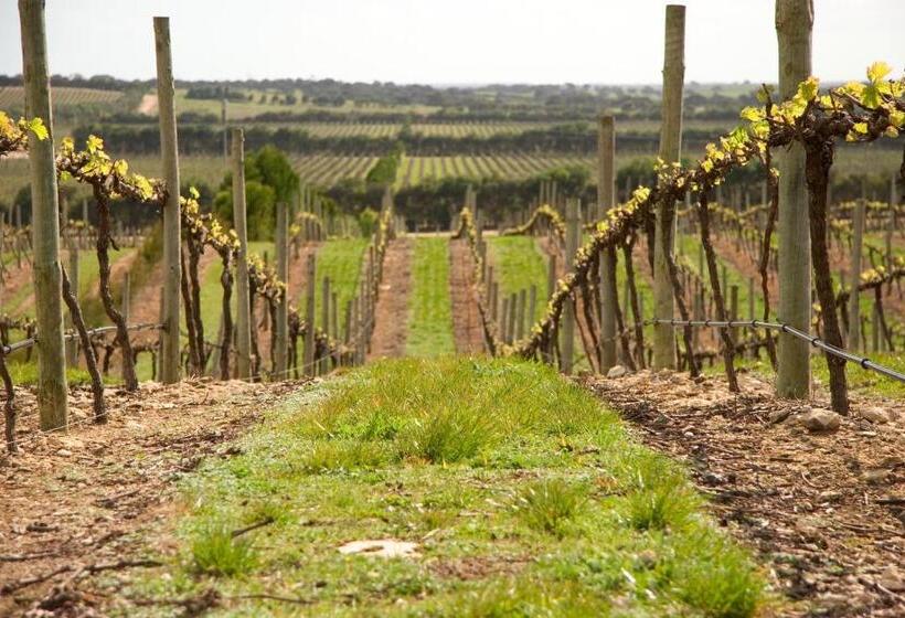 标准间, Lakeview Motel And Apartments