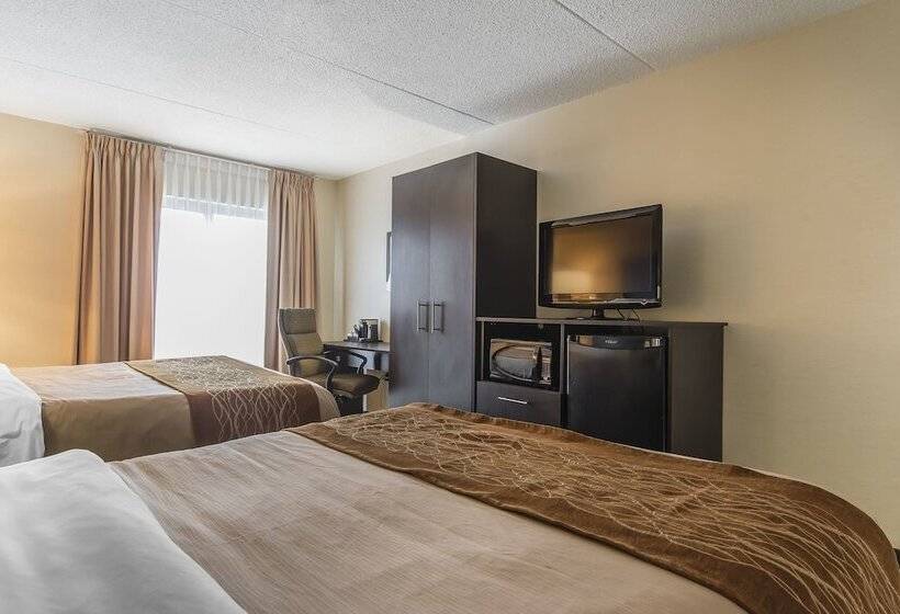 غرفه قياسيه سريرين مزدوجين, Quality Inn