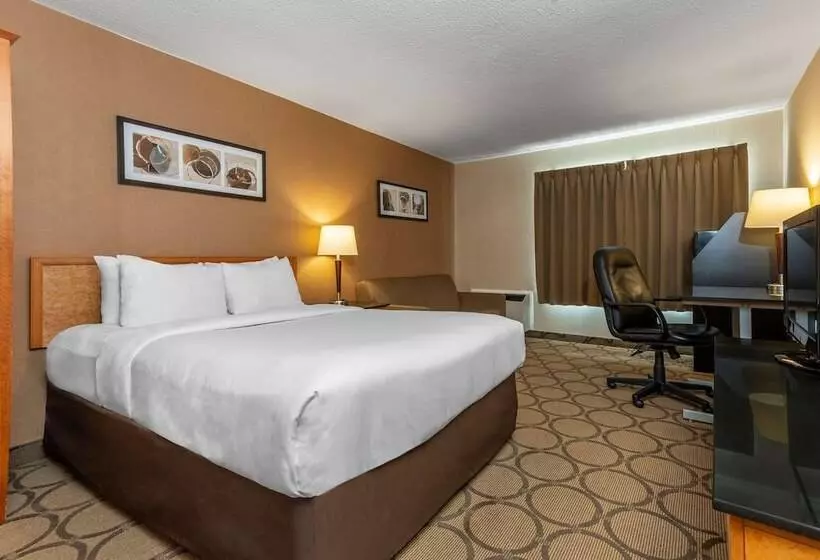 １階のスーペリアルーム, Comfort Inn
