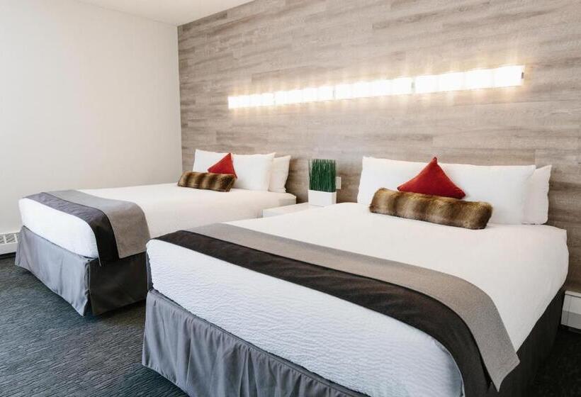 Семейный Номер, Elk + Avenue