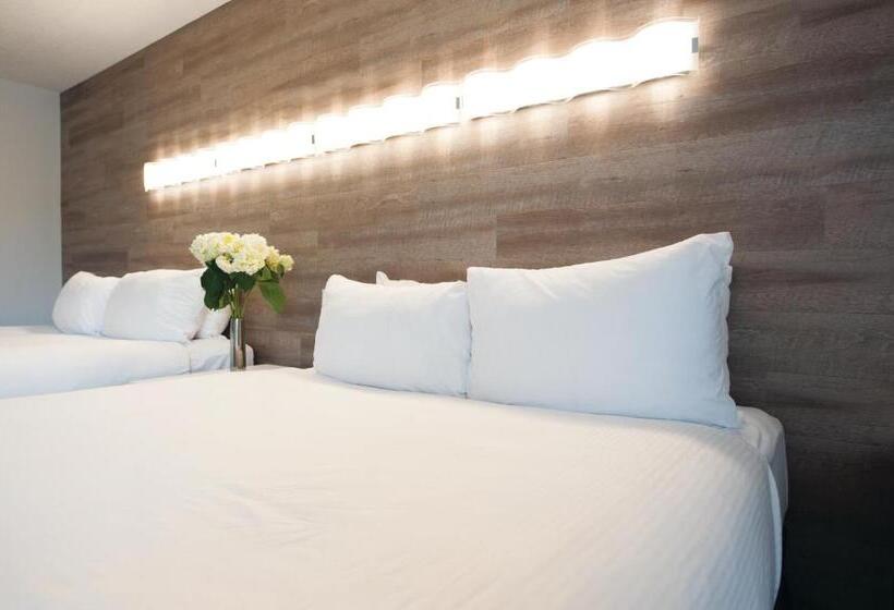 Номер Стандарт, Elk + Avenue