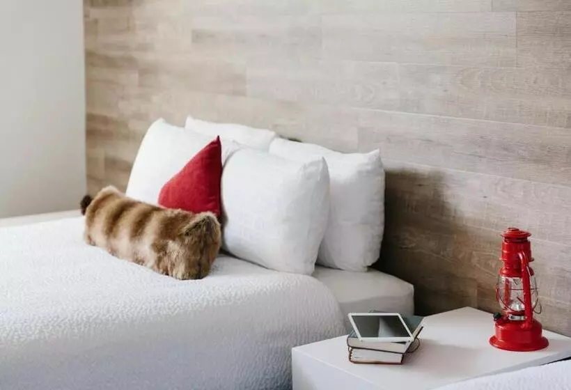 اتاق استاندارد با تخت بزرگ, Elk + Avenue