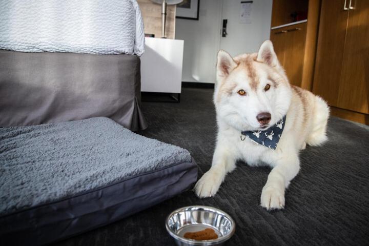 Стандартный Номер Кровать Кинг, Elk + Avenue