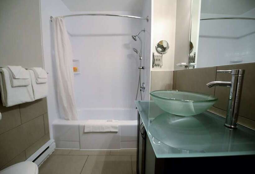 חדר ביזנס, Riôtel Carleton Sur Mer