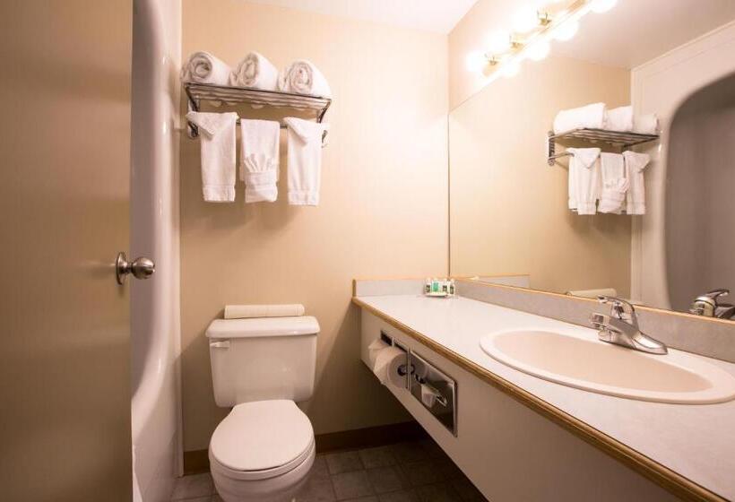 غرفة سوبيريور, Nomad Hotel & Suites