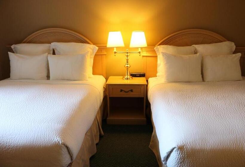 غرفة سوبيريور, Nomad Hotel & Suites