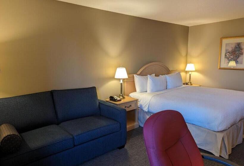 غرفة ديلوكس سرير كينج, Nomad Hotel & Suites