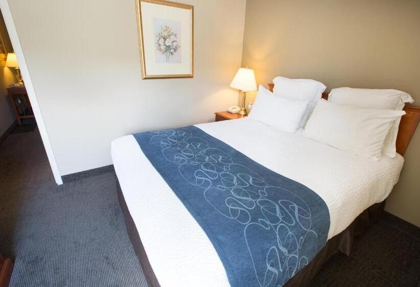 جناح, Nomad Hotel & Suites