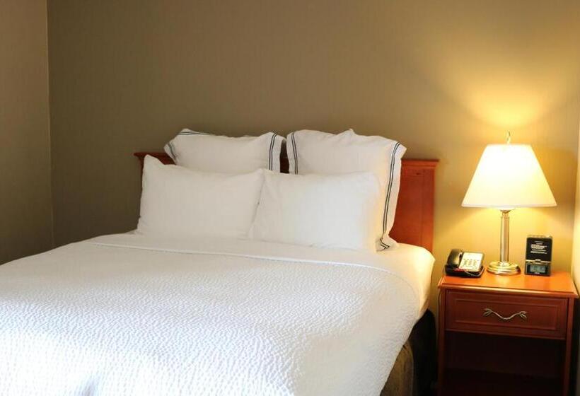 جناح مزود بجاكوزى, Nomad Hotel & Suites