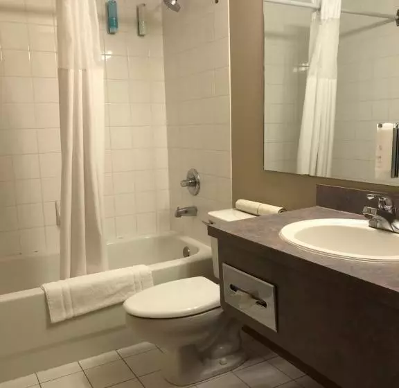 اتاق سوپریور با تخت بزرگ, Nomad Hotel & Suites