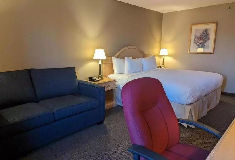 اتاق سوپریور با تخت بزرگ, Nomad Hotel & Suites