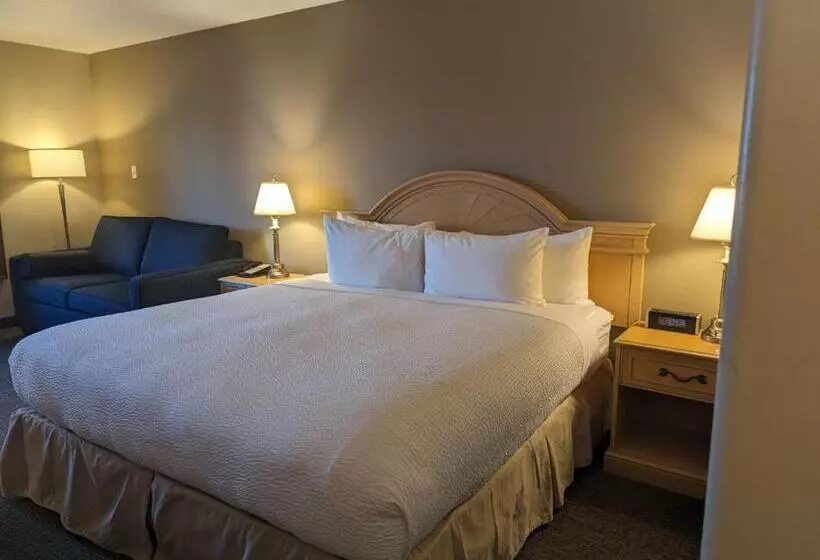 اتاق سوپریور با تخت بزرگ, Nomad Hotel & Suites