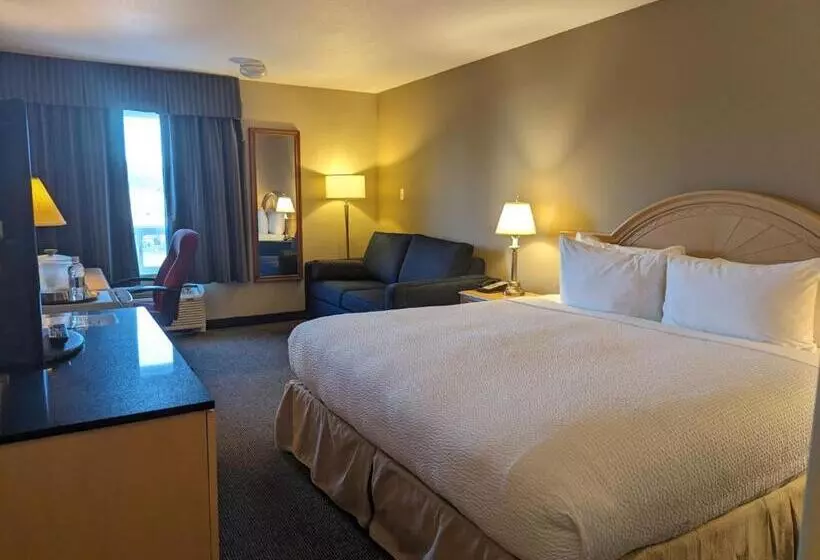 اتاق سوپریور با تخت بزرگ, Nomad Hotel & Suites