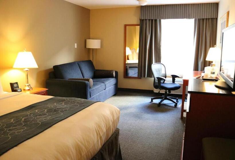 جناح, Nomad Hotel & Suites