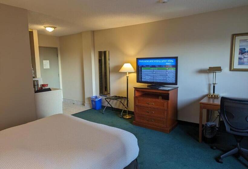 غرفة سوبيريور, Nomad Hotel & Suites