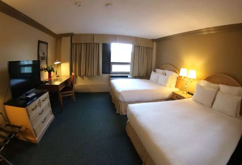 اتاق سوپریور, Nomad Hotel & Suites