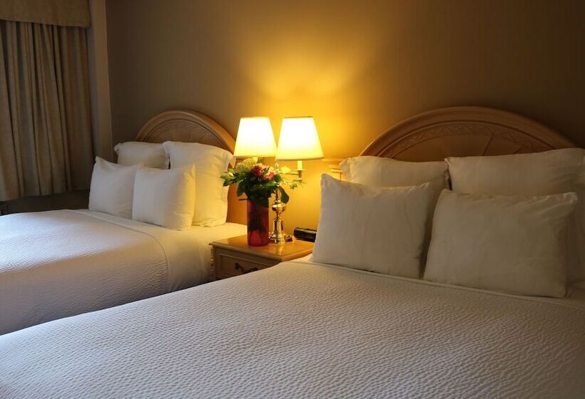 غرفة سوبيريور, Nomad Hotel & Suites