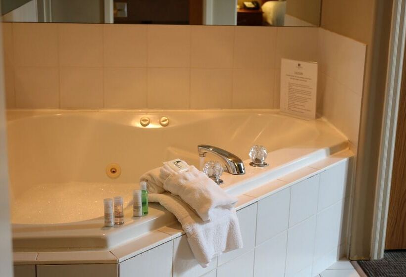 جناح مزود بجاكوزى, Nomad Hotel & Suites
