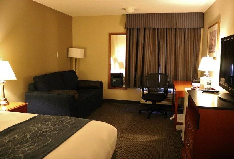 غرفة سوبيريور, Nomad Hotel & Suites