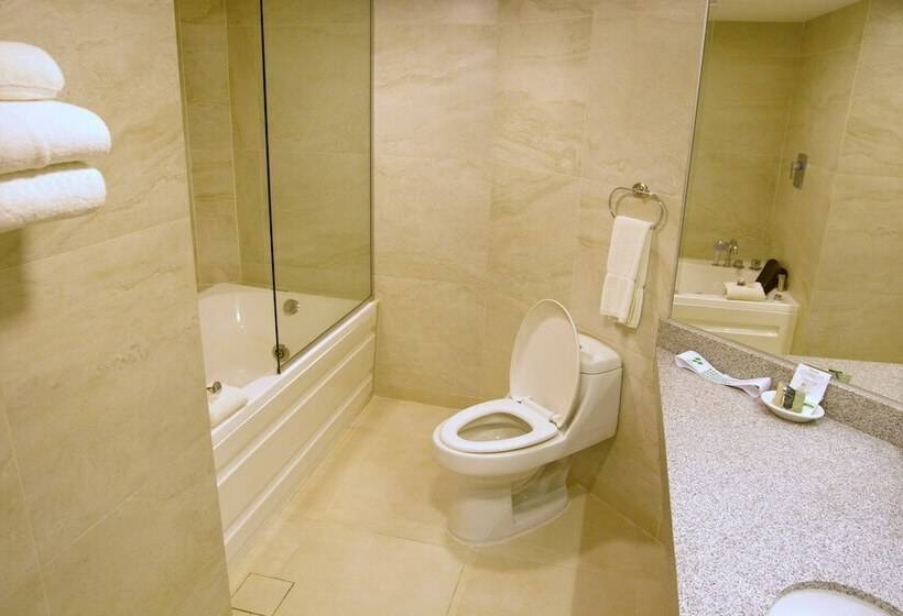 سوییت اجرایی, Presidente