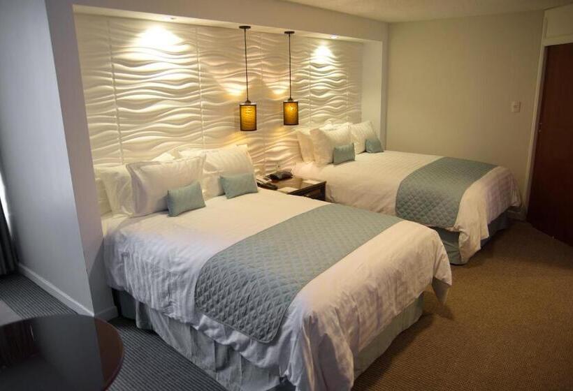 سوییت, Presidente