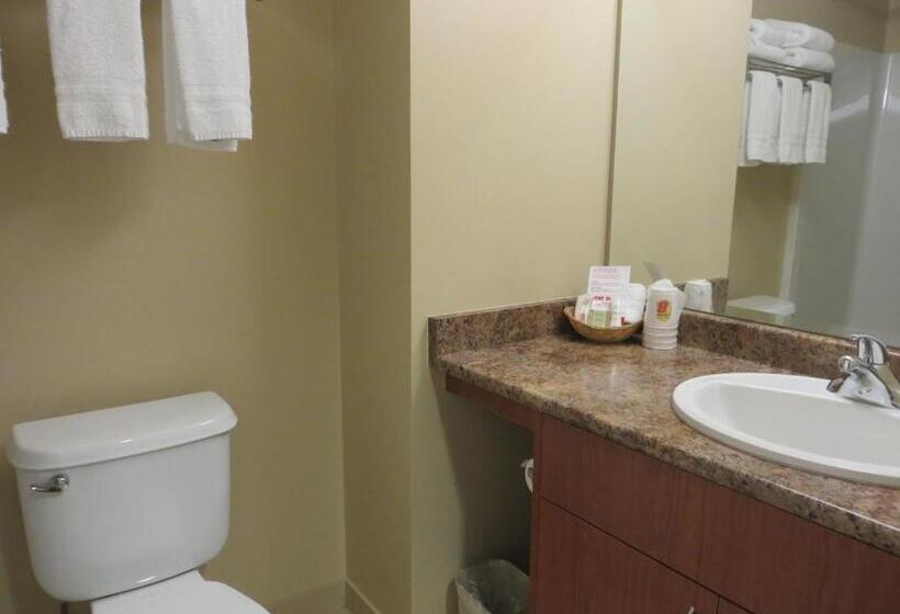 キングサイズベッドのエクゼクティブルーム, Super 8 By Wyndham Abbotsford Bc