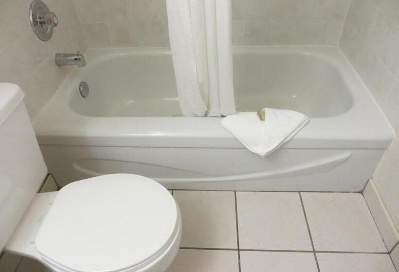 スタンダードルーム, Super 8 By Wyndham Abbotsford Bc