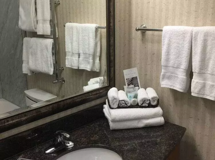 Deluxe-huone Näkymä, Best Western Plus Kelowna Hotel & Suites