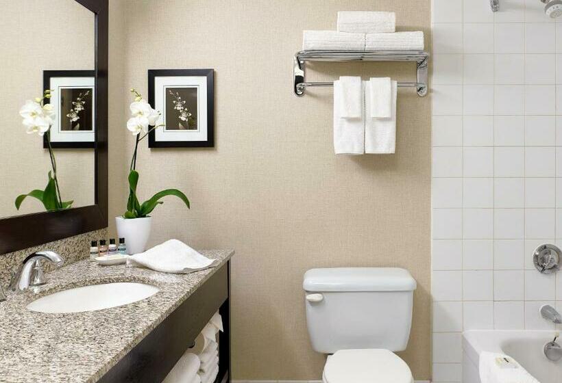 غرفة قياسية, Chelsea Hotel Toronto