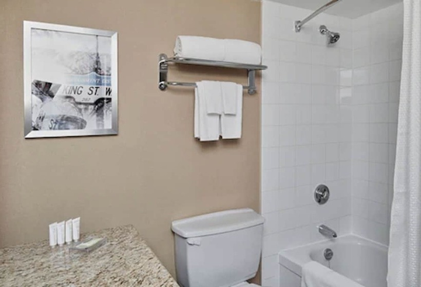 غرفه قياسيه سريرين مزدوجين, Chelsea Hotel Toronto