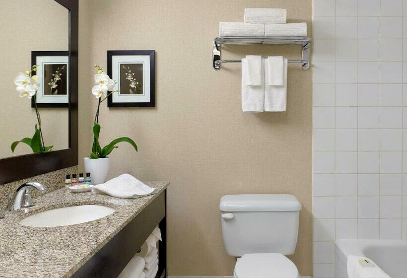 إستوديو قياسى سرير كينج, Chelsea Hotel Toronto