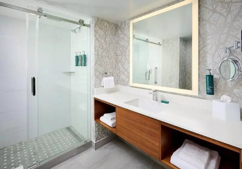 اتاق استاندارد با تخت بزرگ, Doubletree By Hilton Windsor Hotel & Suites