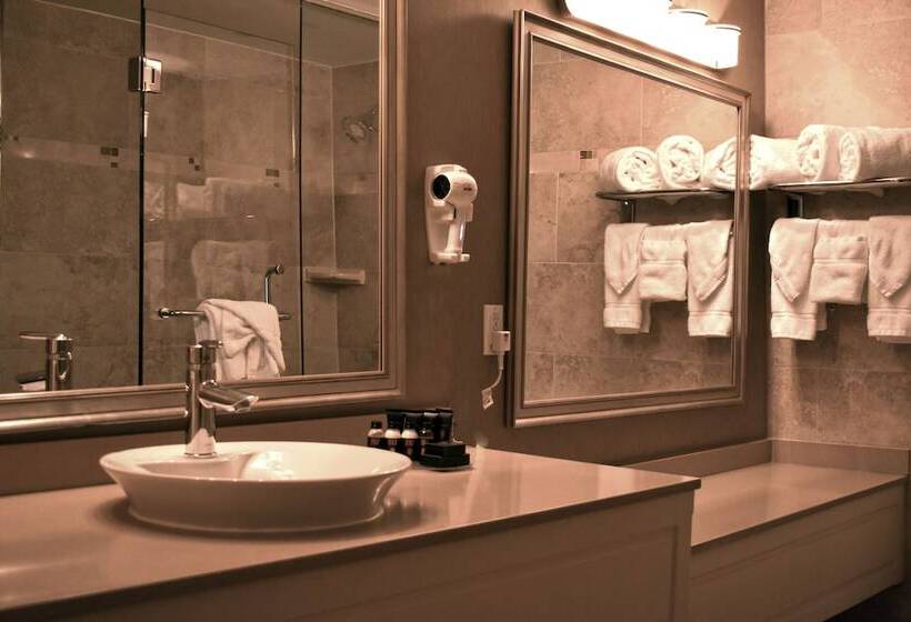 Президентский Люкс, Hamilton Plaza Hotel & Conference Center