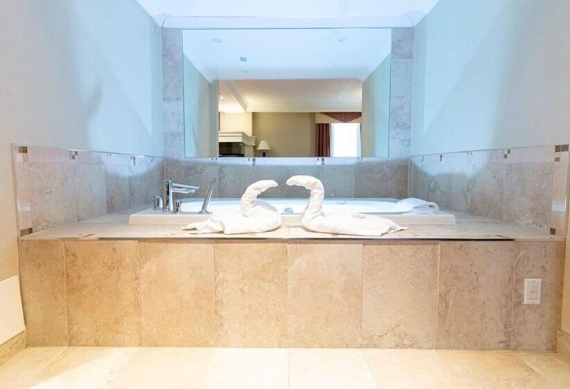 Президентский Люкс, Hamilton Plaza Hotel & Conference Center