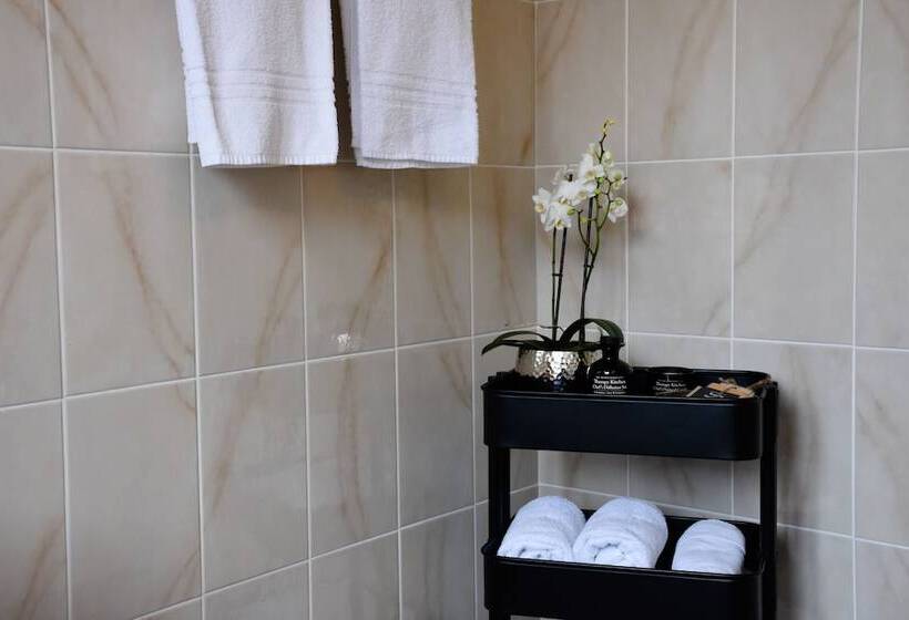 标准单人间, Albergo Mirador Ascona