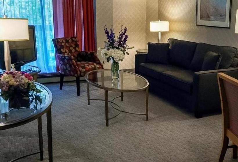 디럭스 스위트, Cartier Place Suite