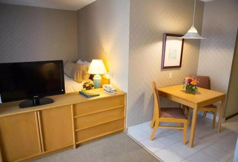 エクゼクティブワンルーム, Cartier Place Suite